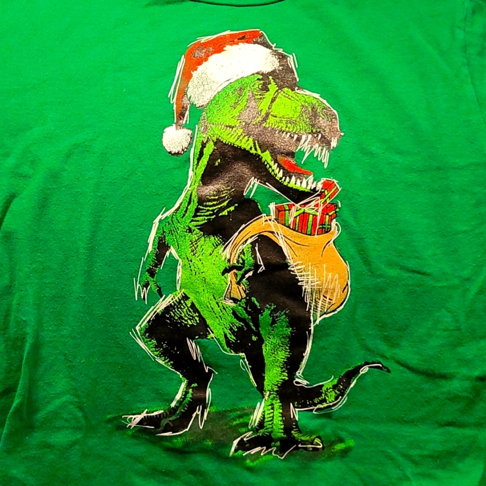 T- Rex Dinosaur Santa Christmas T Shirt XL 14 16